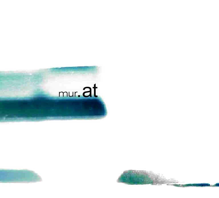 sIeger lOgoweTtbewerb